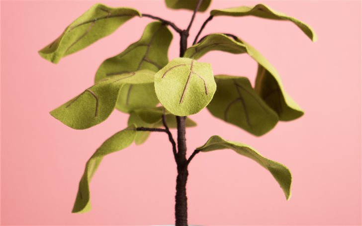 Ficus plant from Felt Mac Wallpaper