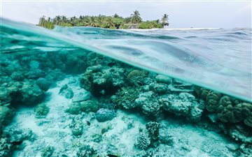 Underwater Maldives MacBook Air wallpaper