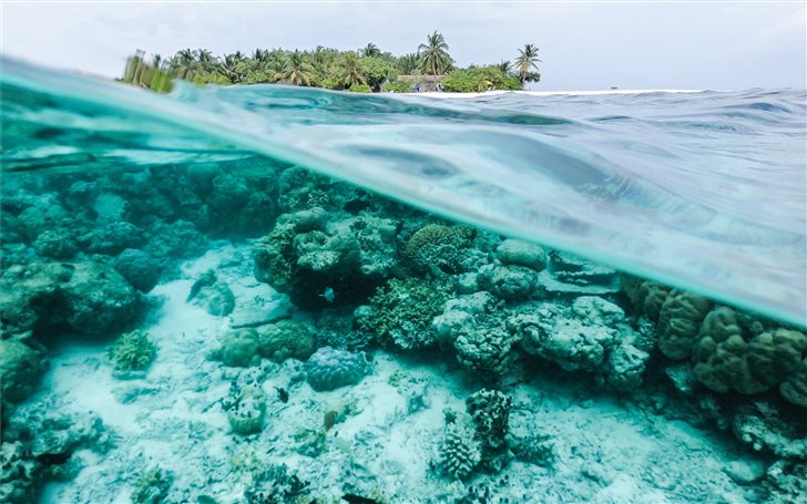 Underwater Maldives Mac Wallpaper