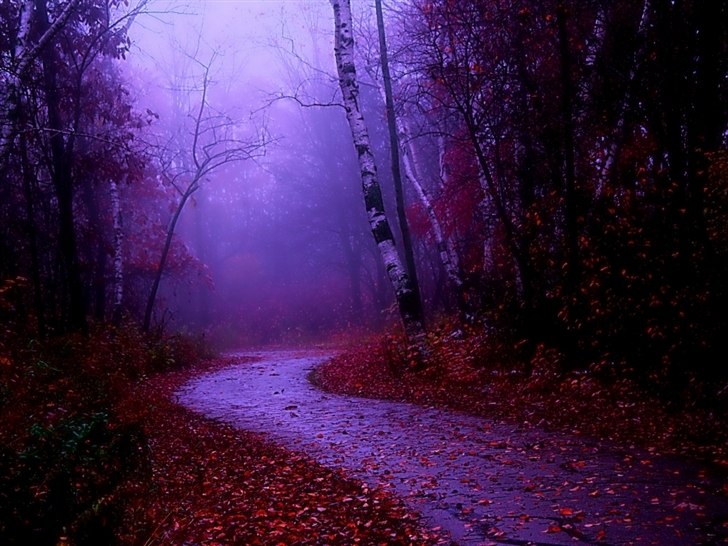 Misty morning walk Mac Wallpaper