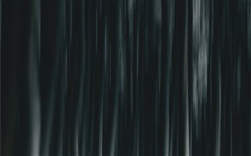Ghost Forest All Mac wallpaper