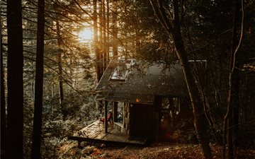 gray wooden house in forest All Mac wallpaper