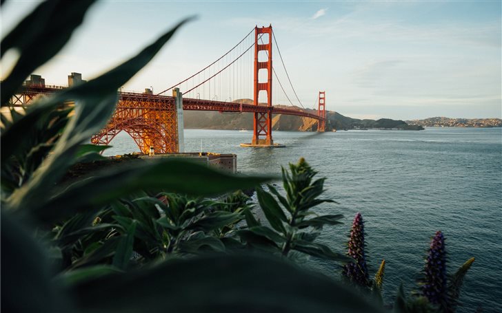 Golden Gate Bridge California Mac Wallpaper