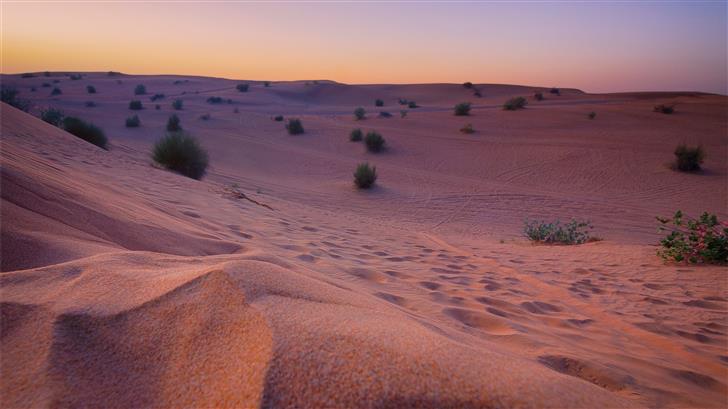 desert photography Mac Wallpaper