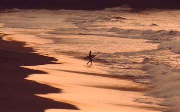 person holding surfboard on seashore during golden All Mac wallpaper