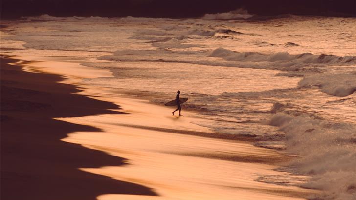 person holding surfboard on seashore during golden Mac Wallpaper