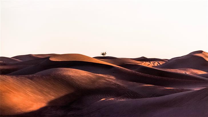sand dunes during daytime Mac Wallpaper