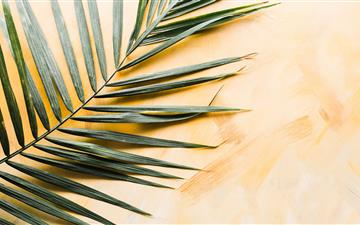 palm leaf MacBook Pro wallpaper