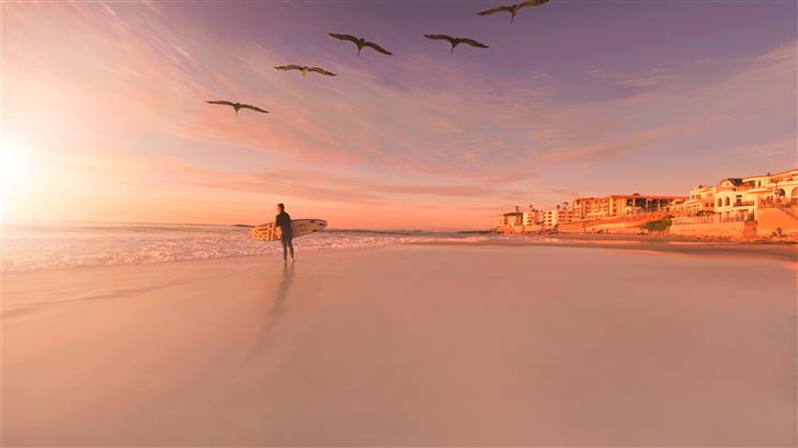 person standing in seashore with birds flying in s Mac Wallpaper