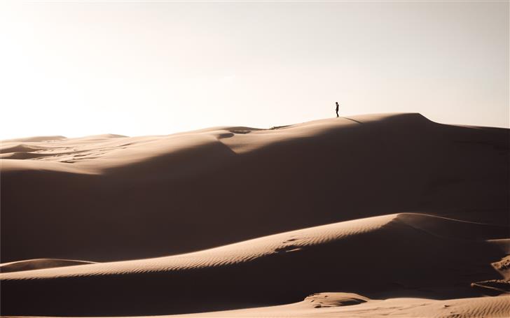 silhouette of person standing on brown sand Mac Wallpaper
