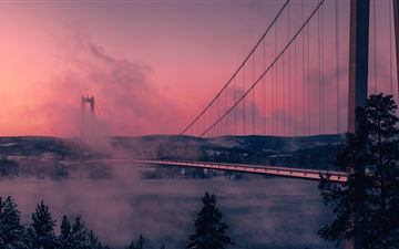 grey full suspension bridge photography during day All Mac wallpaper
