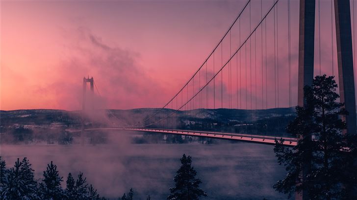grey full suspension bridge photography during day Mac Wallpaper