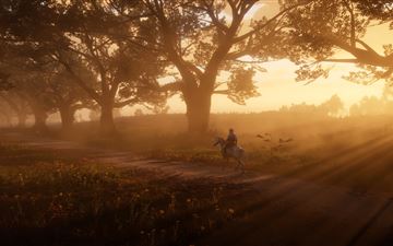 red dead redemption 2 the path 5k All Mac wallpaper