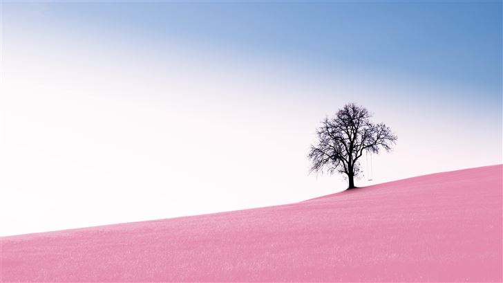tree pink desert 10k Mac Wallpaper