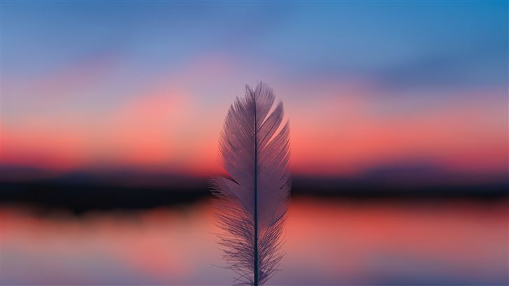 feather focus blur sunset 5k Mac Wallpaper
