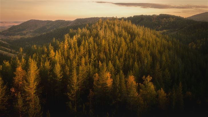 autumn forests of the nurali hills 5k Mac Wallpaper