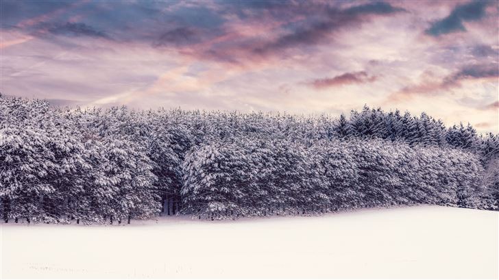 winter nature outdoors 8k Mac Wallpaper