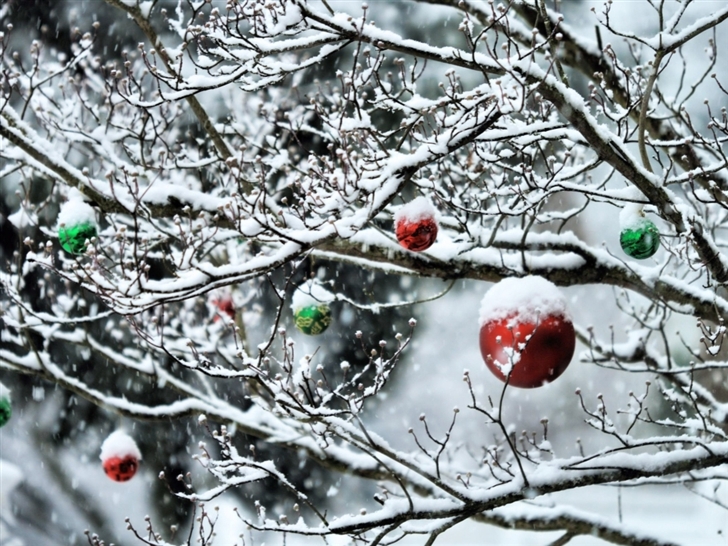 Decorated tree branches Mac Wallpaper