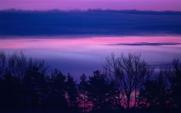 clouds forest landscape lilac purple serene sunris All Mac wallpaper