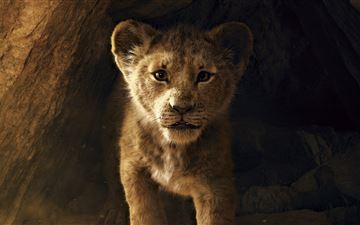 the lion king 2019 8k iMac wallpaper