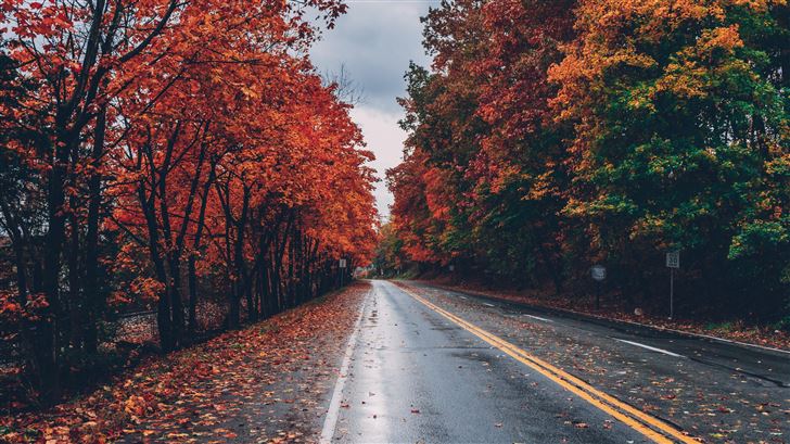autumn road trees on sides fallen leaves Mac Wallpaper