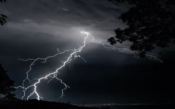 lightning strikes on trees 4k All Mac wallpaper