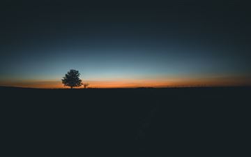 daybreak tree landscape 5k All Mac wallpaper