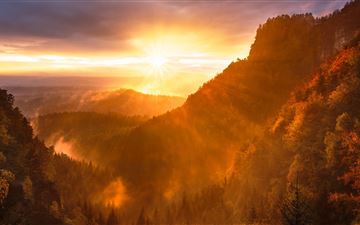 forest valley day starting calming sunrise 5k iMac wallpaper
