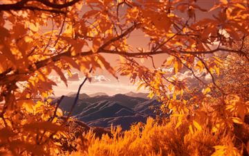 mountains view between autumn tree branches 5k MacBook Pro wallpaper