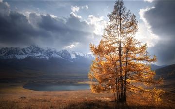 autumn tree sunlight mountains clouds 5k All Mac wallpaper