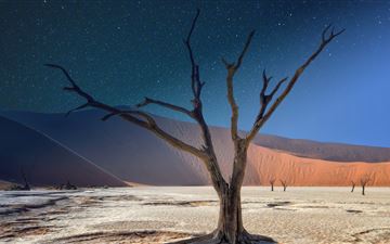 namibia deadvlei panorama 5k MacBook Pro wallpaper