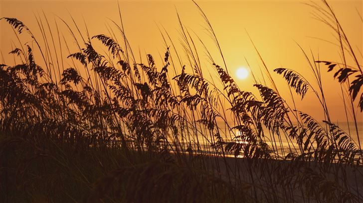 sunrisehuntington beach state park 8k Mac Wallpaper