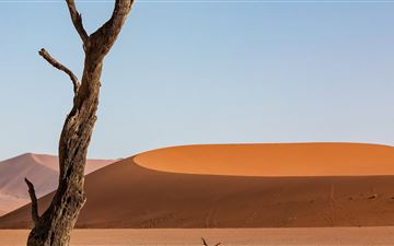 desert sand dune dunes 5k iMac wallpaper