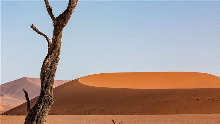 desert sand dune dunes 5k Mac Wallpaper