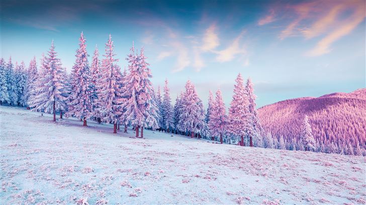 trees pink colorful cold hills snow 5k Mac Wallpaper