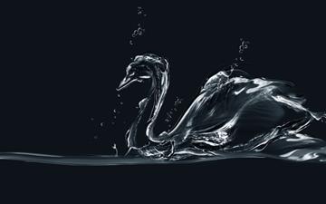 Water Swan All Mac wallpaper