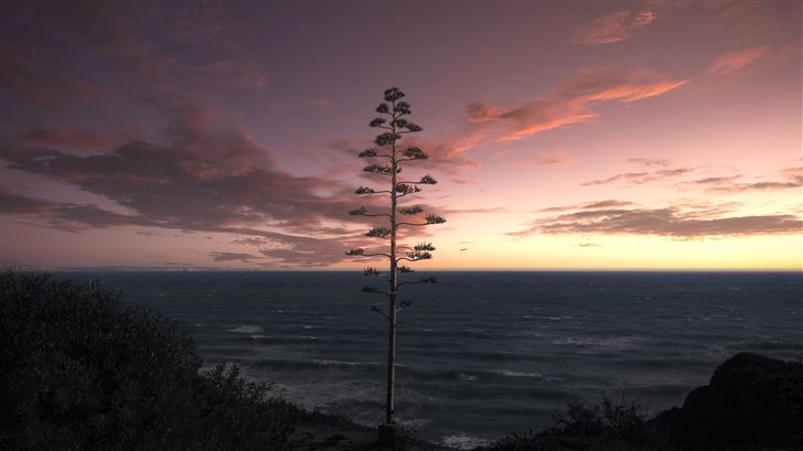 tree ocean seascape sky 5k Mac Wallpaper