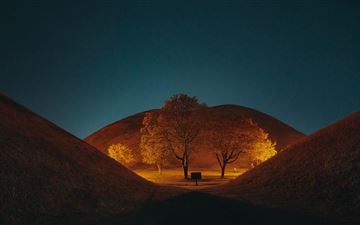 leafless tree on brown field during night time MacBook Pro wallpaper