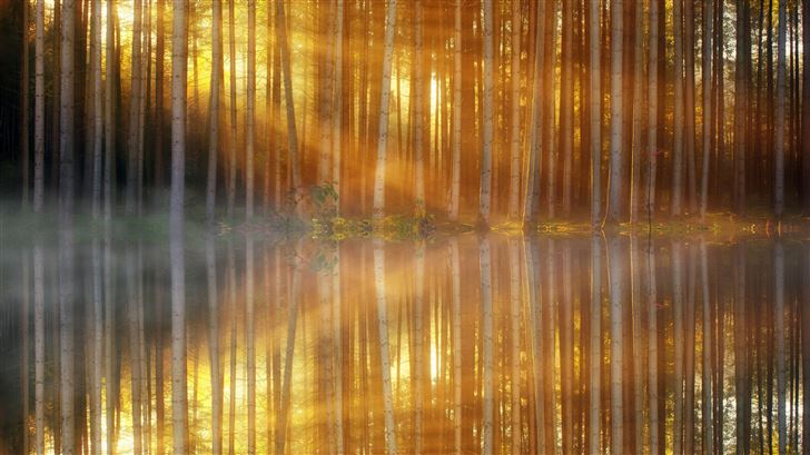 trees lakes sunbeams Mac Wallpaper