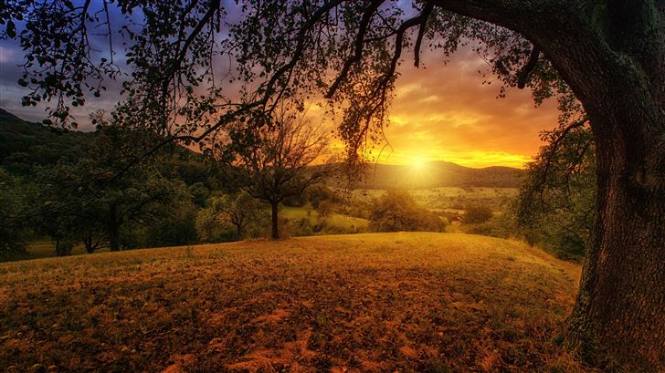 tree sun aesthetic dawn landscape panorama Mac Wallpaper