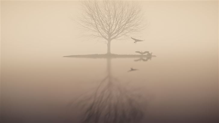 fog lake silhouette tree birds Mac Wallpaper