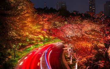 japan tokyo roads autumn trees night MacBook Pro wallpaper