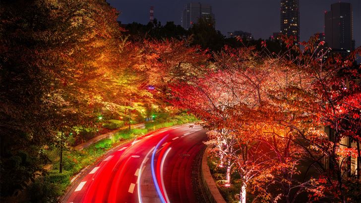 japan tokyo roads autumn trees night Mac Wallpaper