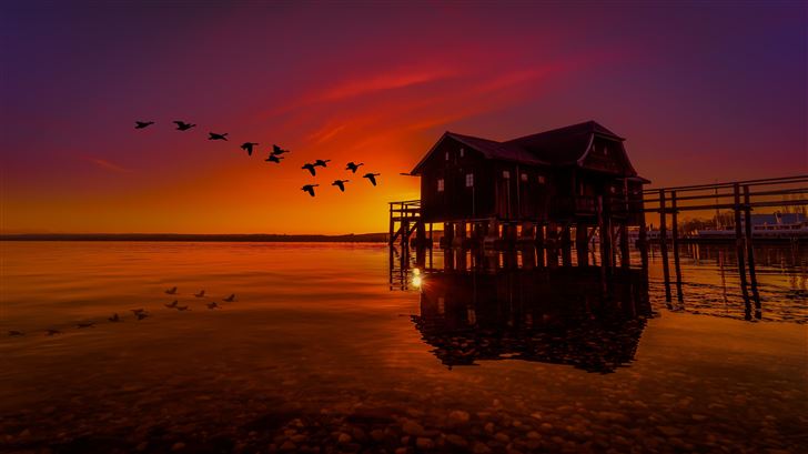 lake house on pier birds flying sunset scenery Mac Wallpaper