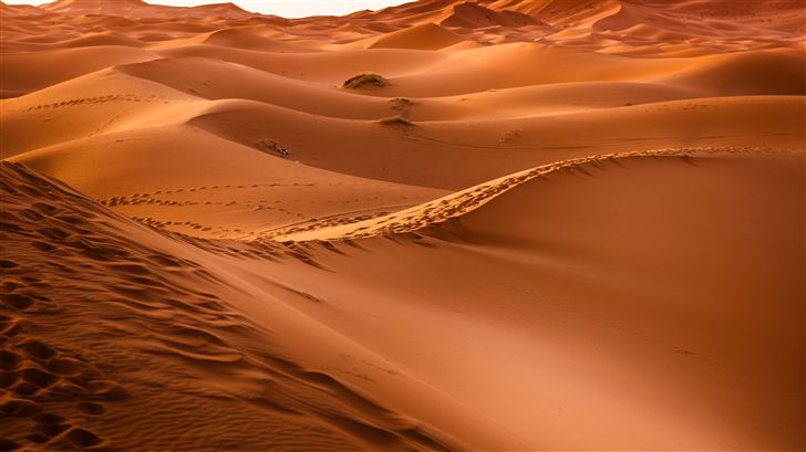 dessert sand dunes 8k Mac Wallpaper