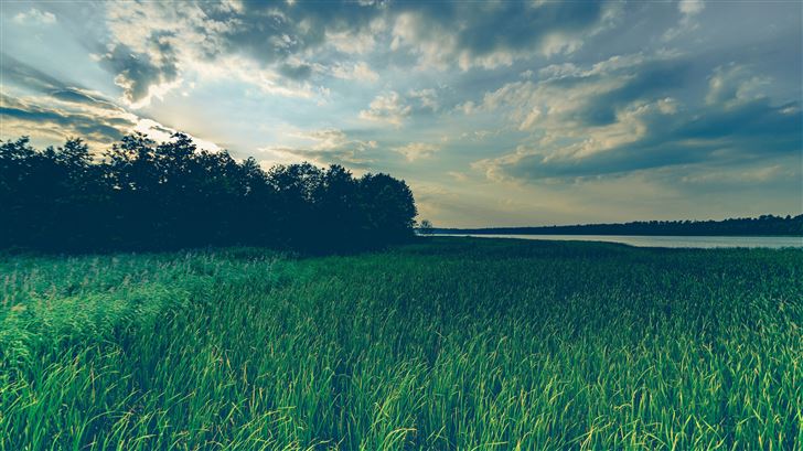 green grass field sky reflection wind 5k Mac Wallpaper