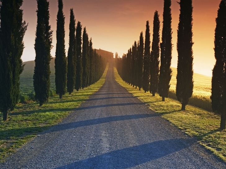 Trees Italy Roads Mac Wallpaper