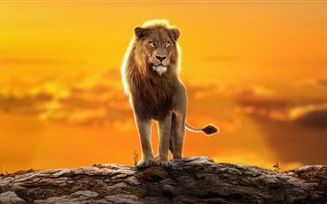 2022 the lion king simba MacBook Air wallpaper