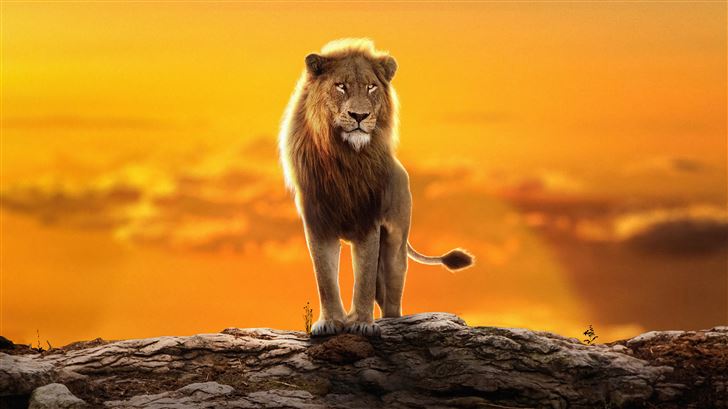 2022 the lion king simba Mac Wallpaper