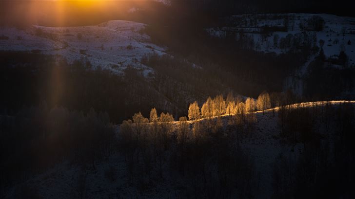 sun beams with golden light over the frozen trees Mac Wallpaper